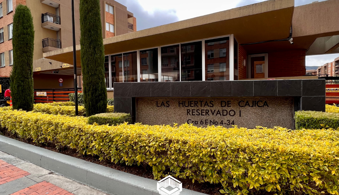 video image